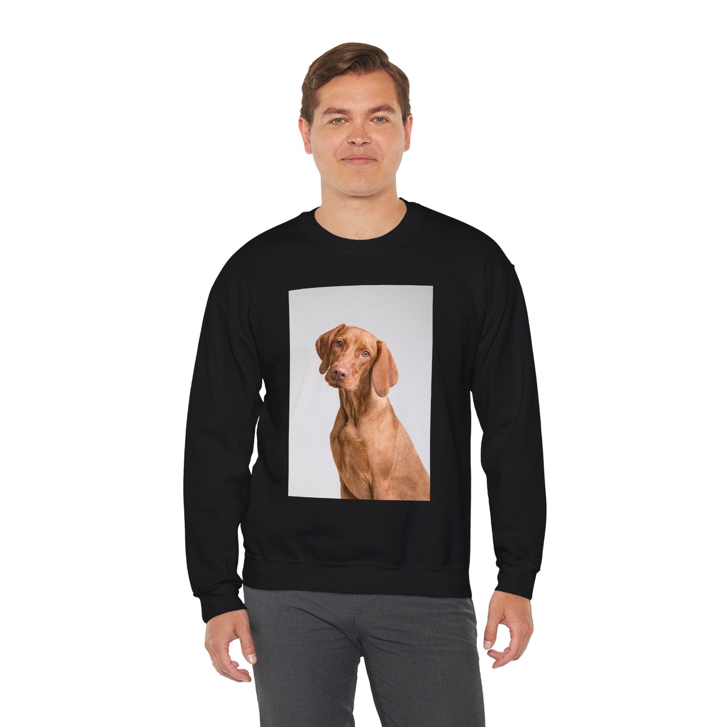 Hungarian Vizsla Sweatshirt | maximalist design Hungarian Vizsla