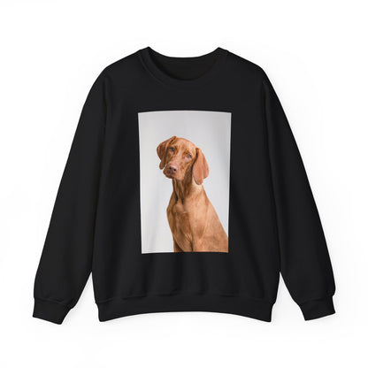 Hungarian Vizsla Sweatshirt | maximalist design Hungarian Vizsla
