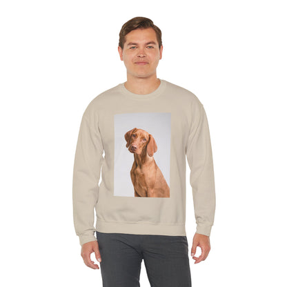 Hungarian Vizsla Sweatshirt | maximalist design Hungarian Vizsla