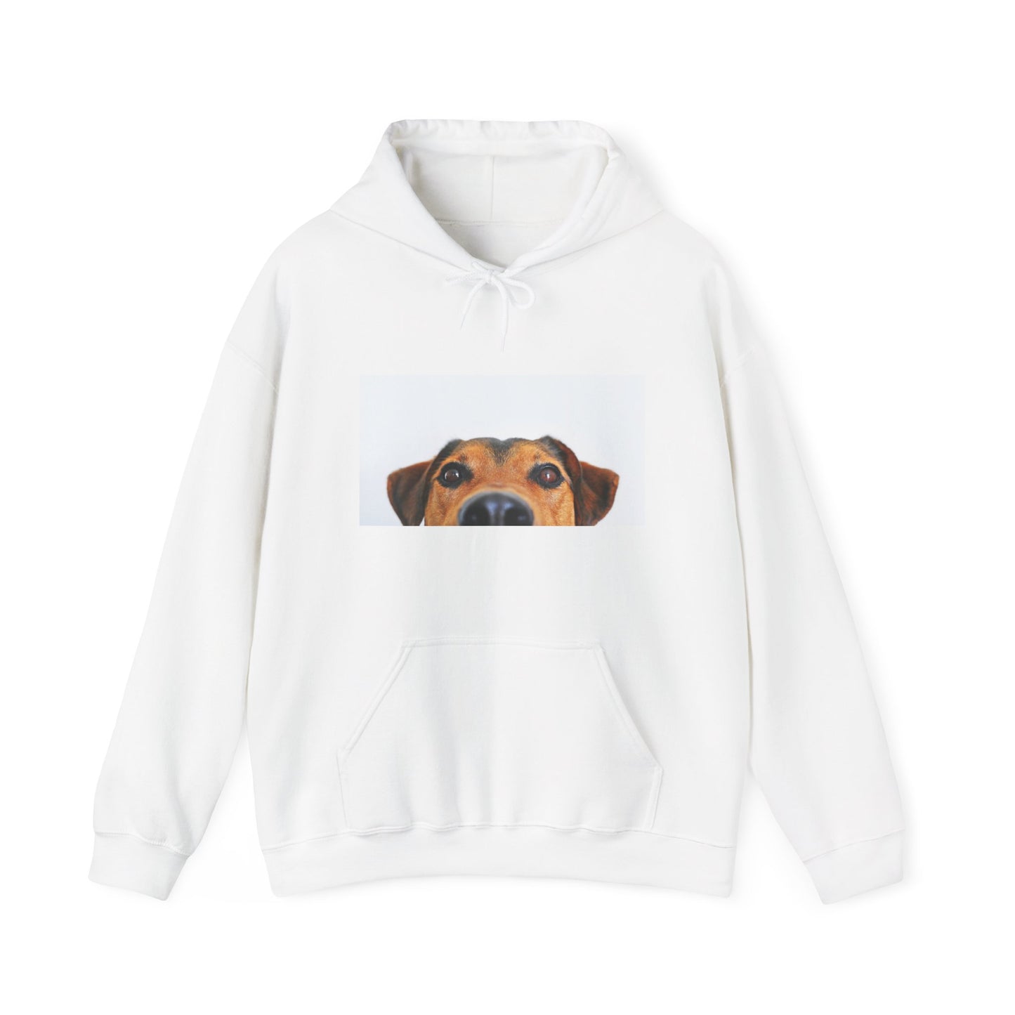 Dachshund Dog Hoodie | maximalist design Dachshund Print