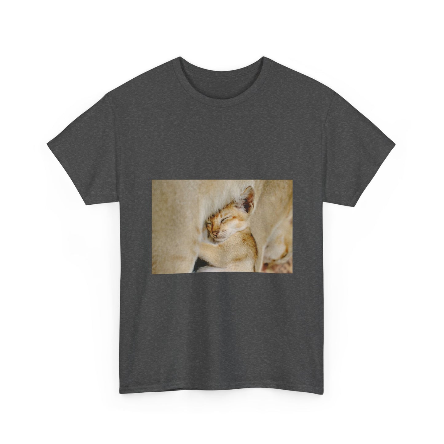 Sleeping Lion Cub T‑Shirt — Cute Wildlife Photo Tee