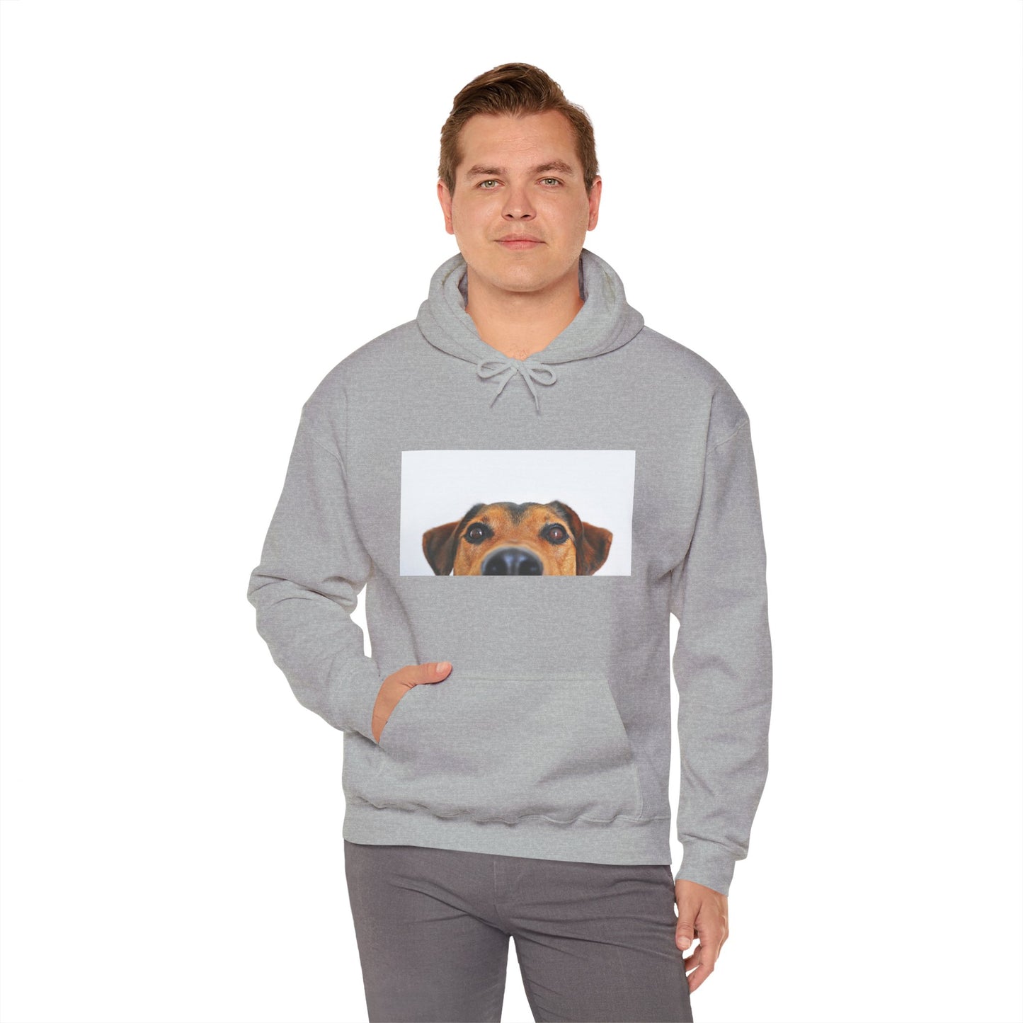 Dachshund Dog Hoodie | maximalist design Dachshund Print