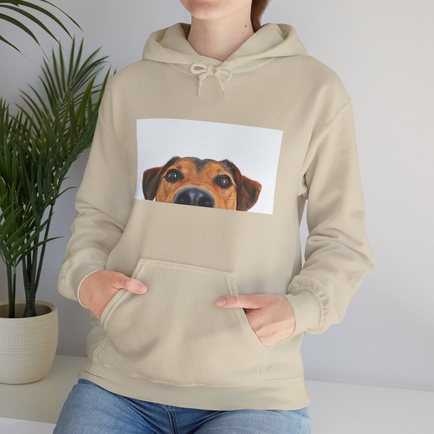 Dachshund Dog Hoodie | maximalist design Dachshund Print