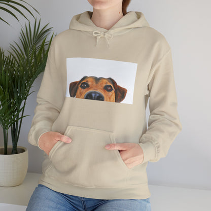Dachshund Dog Hoodie | maximalist design Dachshund Print