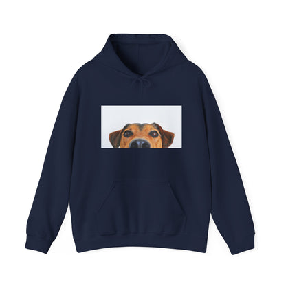 Dachshund Dog Hoodie | maximalist design Dachshund Print