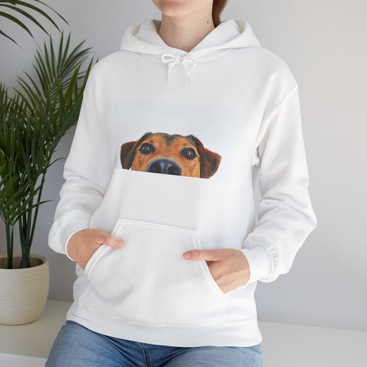 Dachshund Dog Hoodie | maximalist design Dachshund Print