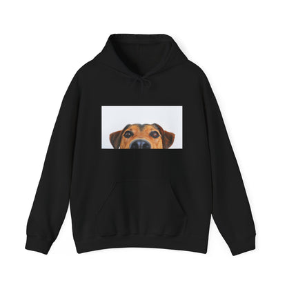 Dachshund Dog Hoodie | maximalist design Dachshund Print