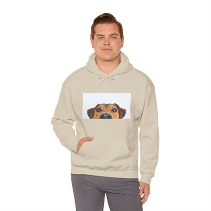 Dachshund Dog Hoodie | maximalist design Dachshund Print