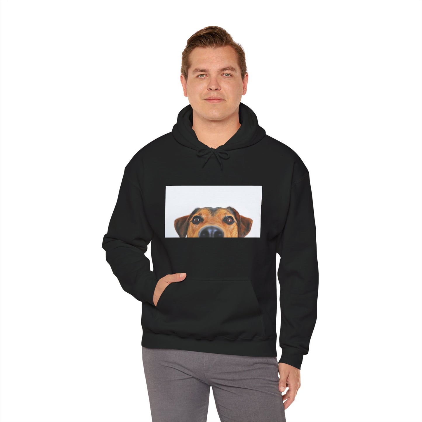 Dachshund Dog Hoodie | maximalist design Dachshund Print