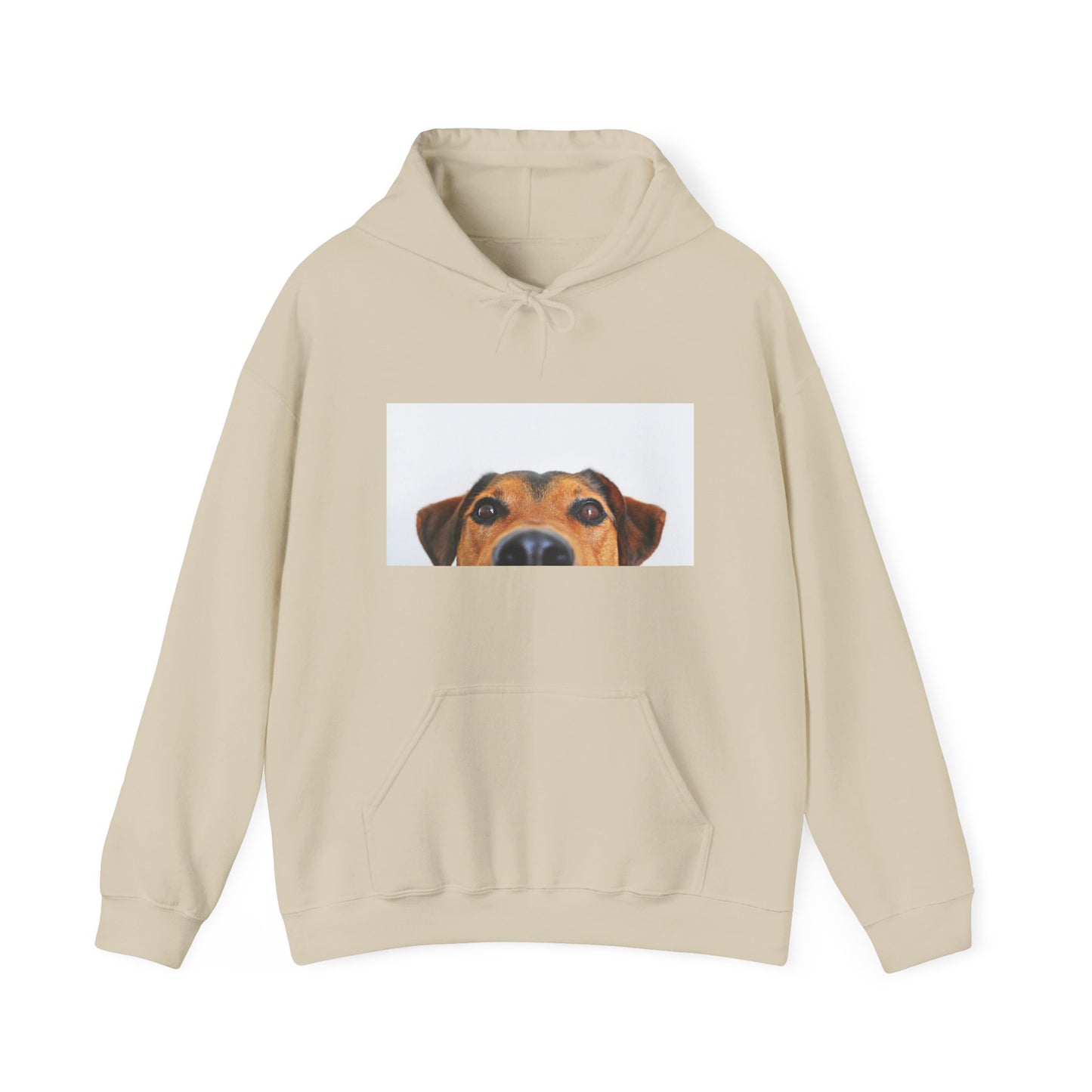 Dachshund Dog Hoodie | maximalist design Dachshund Print