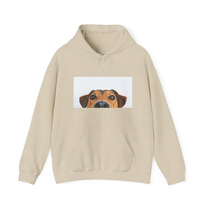 Dachshund Dog Hoodie | maximalist design Dachshund Print