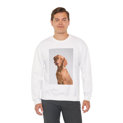 Hungarian Vizsla Sweatshirt | maximalist design Hungarian Vizsla