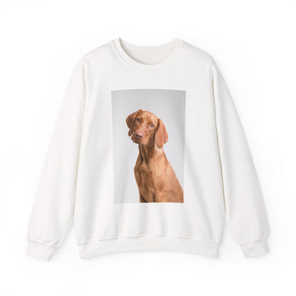 Hungarian Vizsla Sweatshirt | maximalist design Hungarian Vizsla