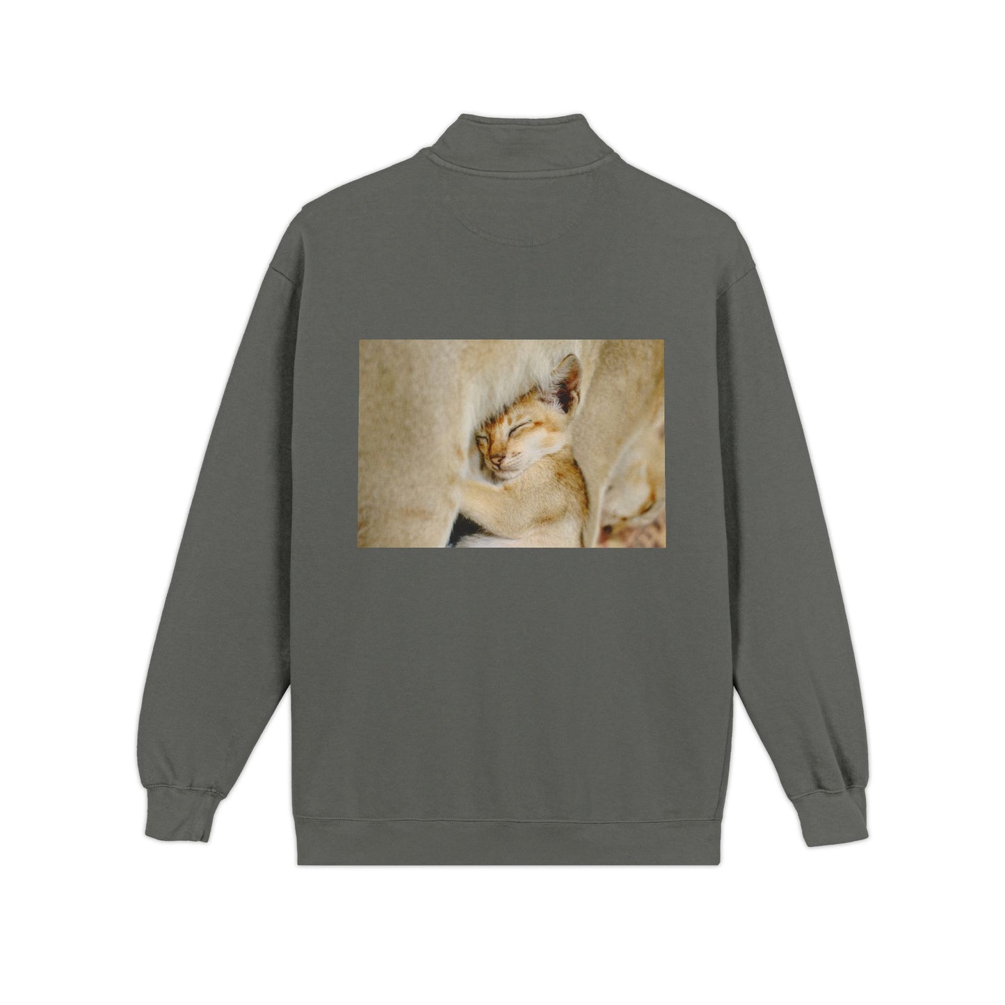 Parrot Pocket Quarter-Zip Sweatshirt